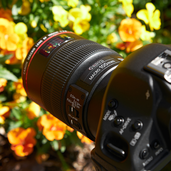 Macro Photography Buyer’s Guide