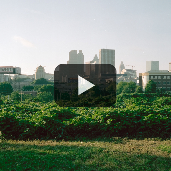 Out and About with the Fujifilm GW 690