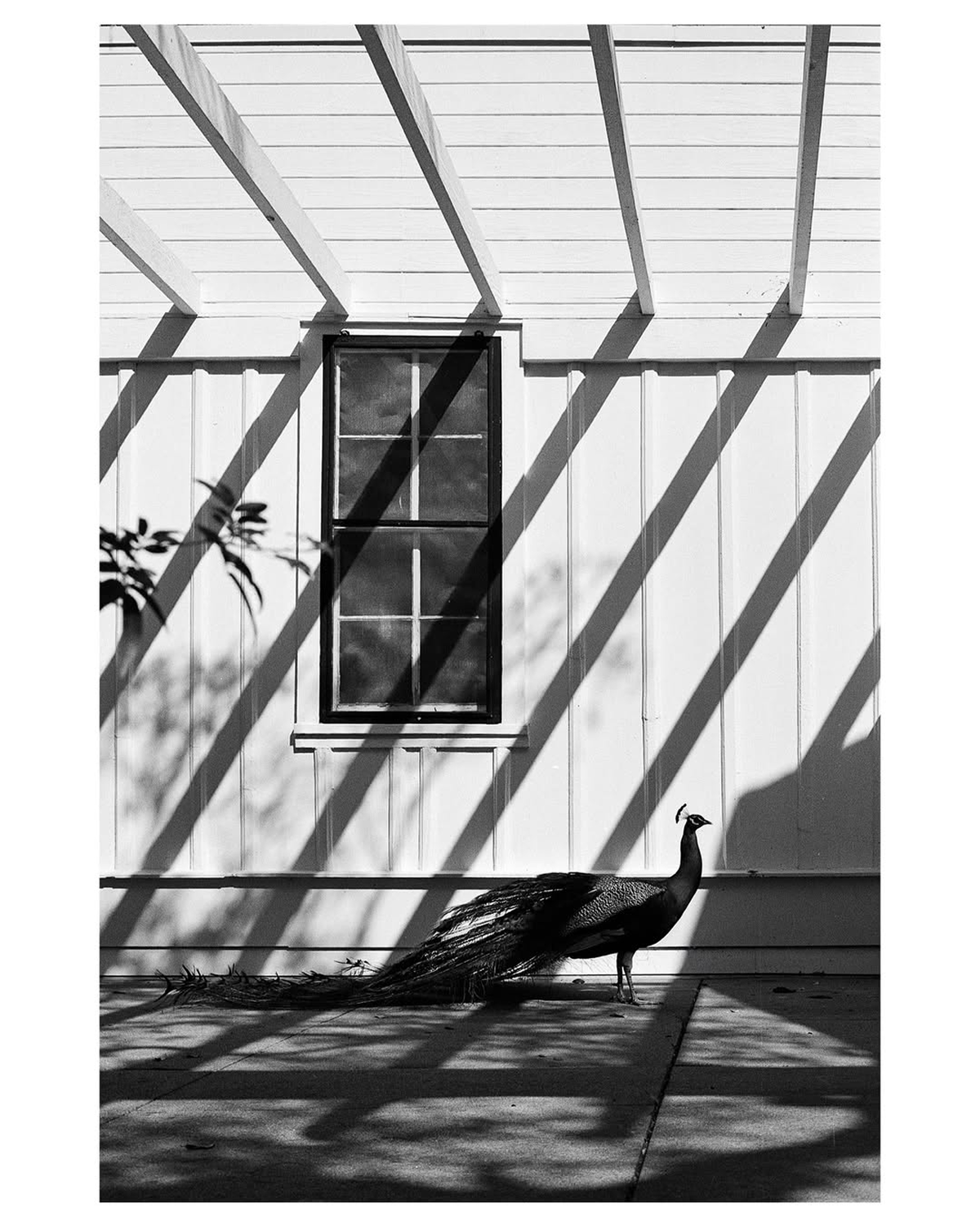 Photo by @rob.art.jones