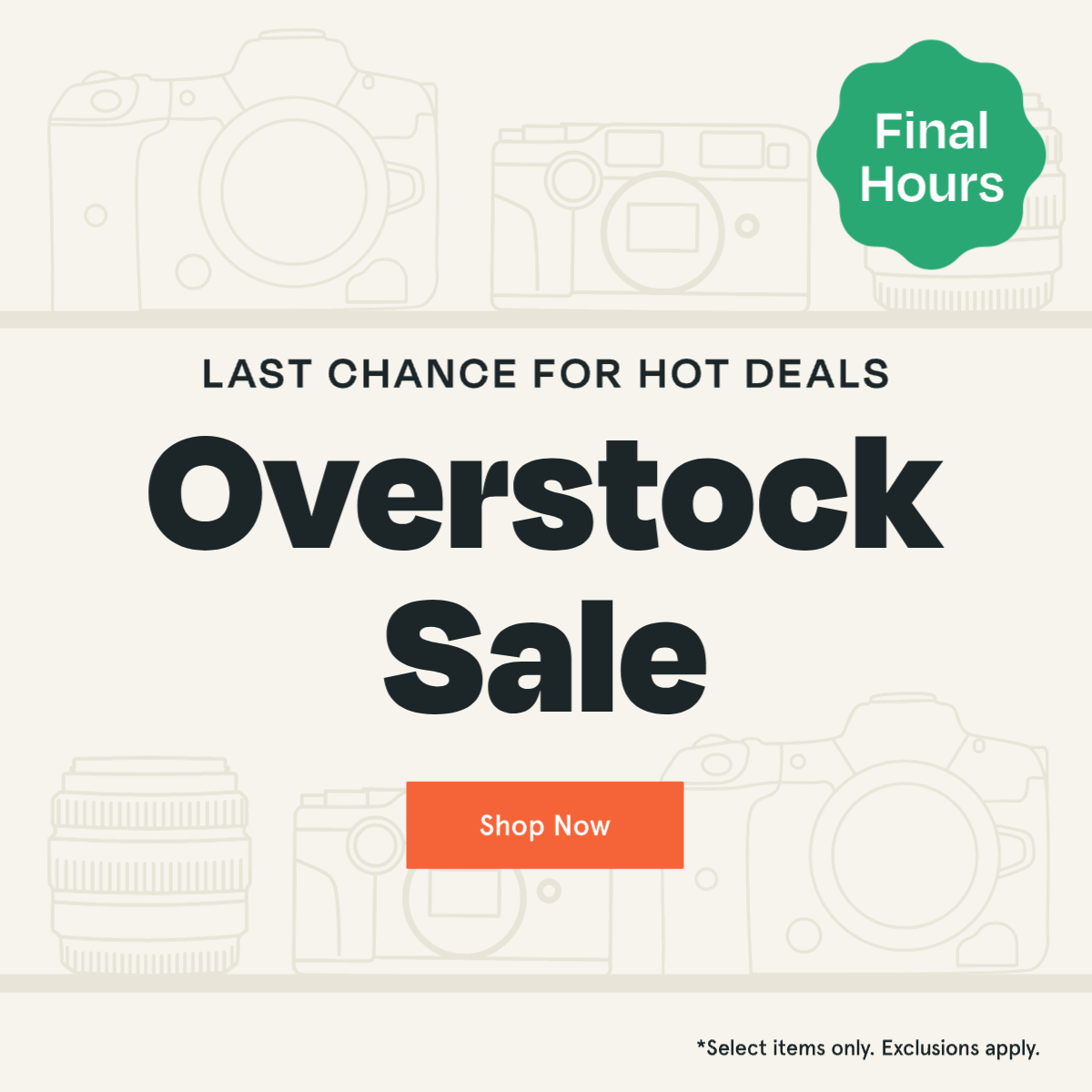 Shop the sale