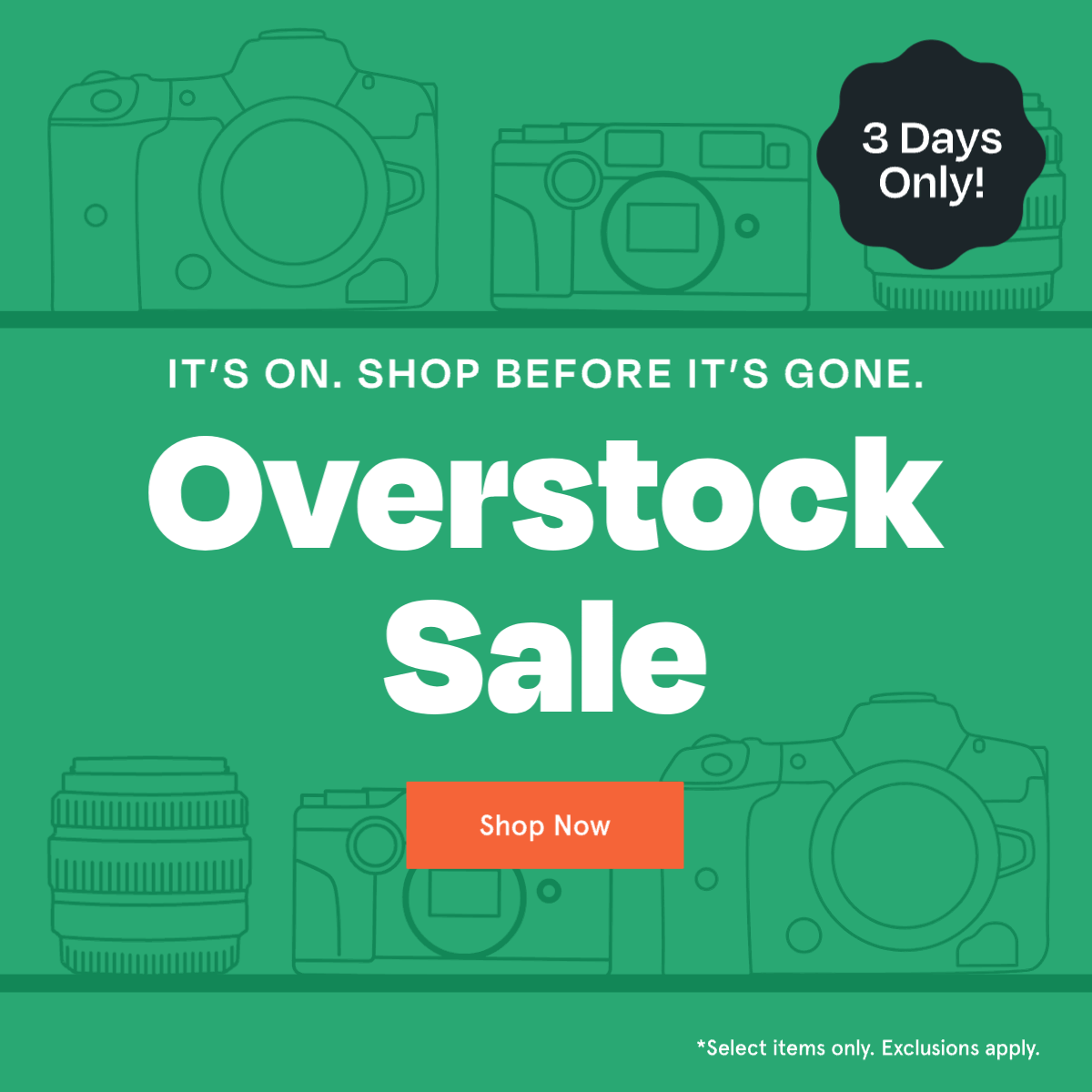 Shop the sale