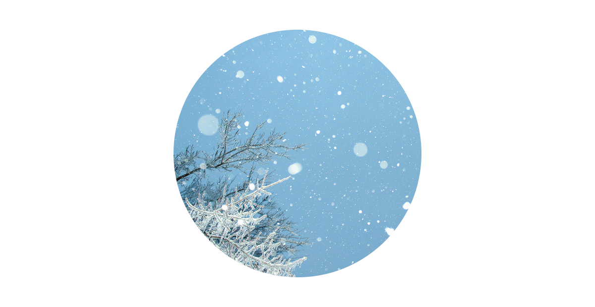 Durability & Weatherproofing