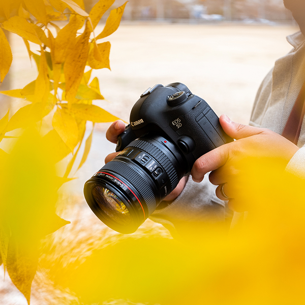 Which Lens Will Capture Fall Best?