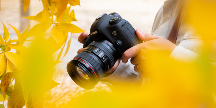 Which Lens Will Capture Fall Best?