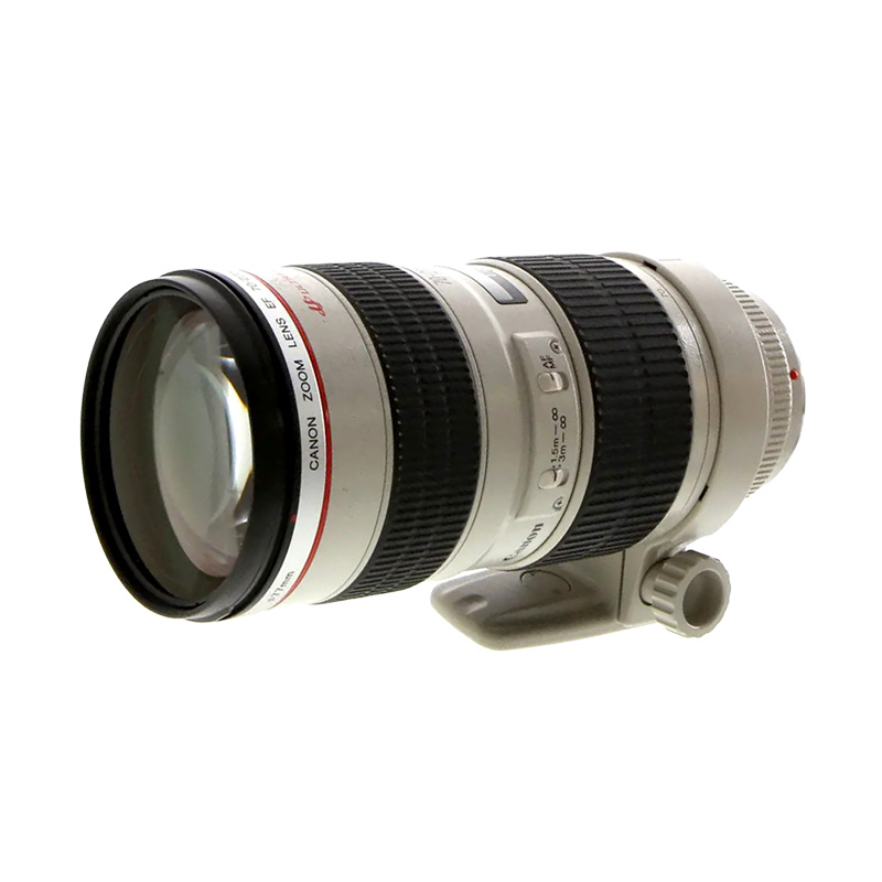 Canon 70-200mm f/2.8 L USM