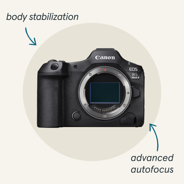 Canon Mirrorless