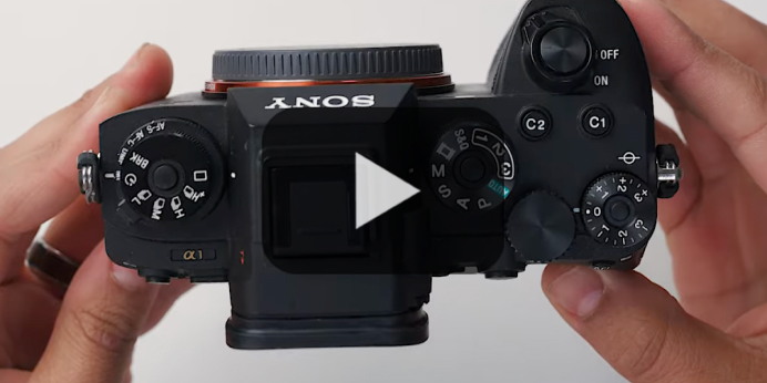 Sony A7 III vs. Sony A1 vs A7 IV: Which Should You Buy?