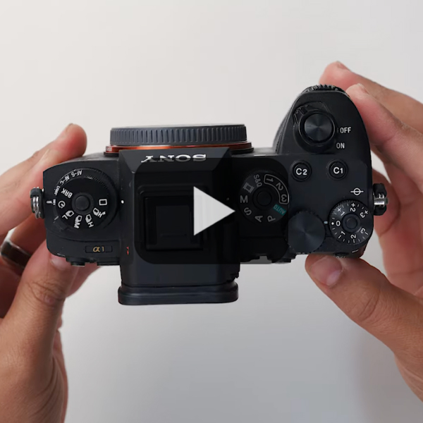 Sony A7 III vs. Sony A1 vs A7 IV: Which Should You Buy?