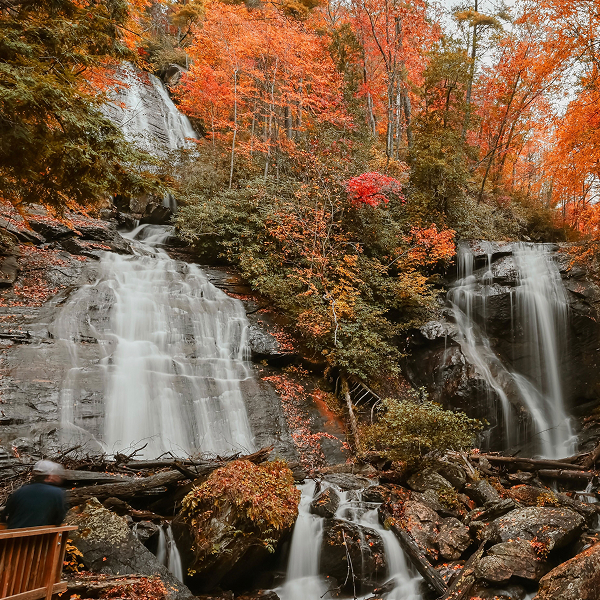 The Ultimate Fall Photography Guide