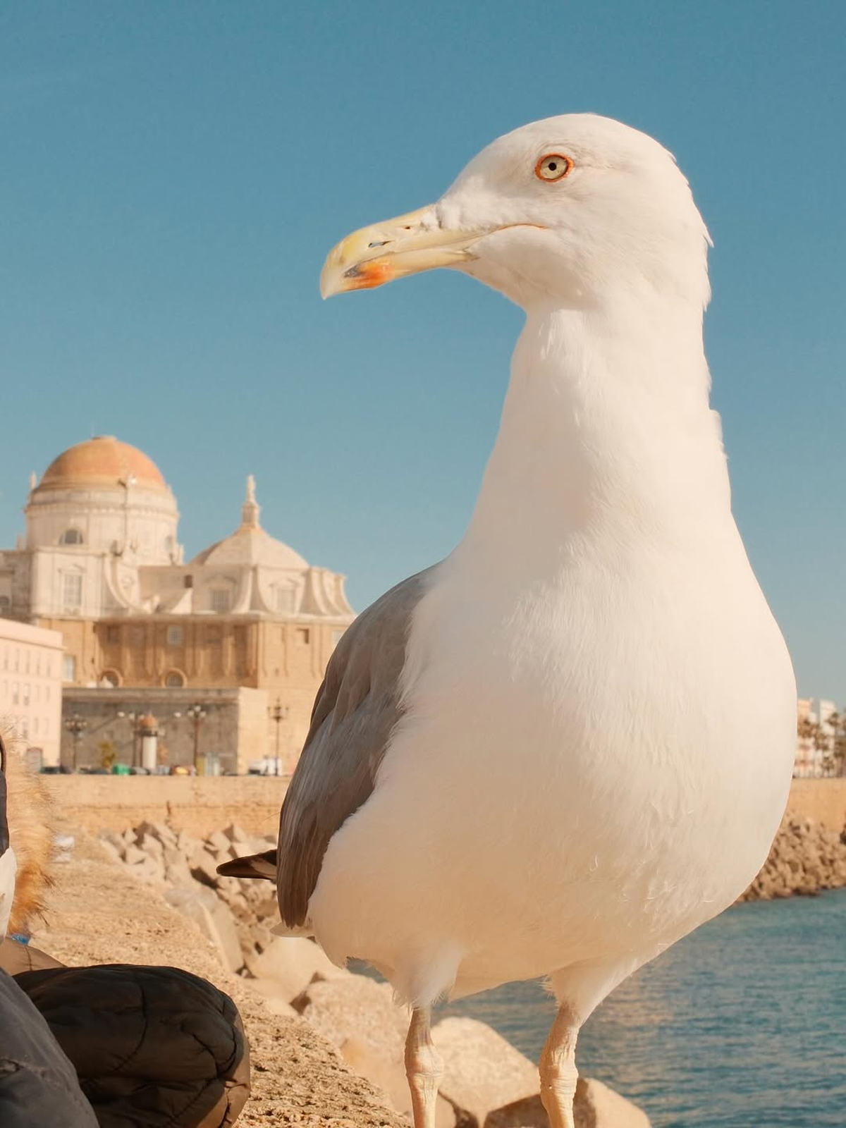 Photo by @voyager_and_beyond