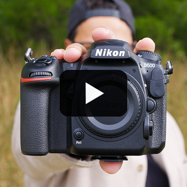 Nikon D500 Gear Review