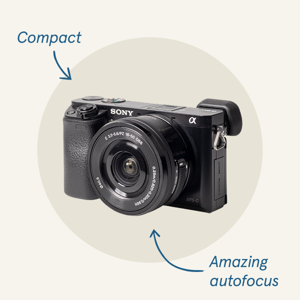 Sony Alpha a6000 with 16–50mm lens