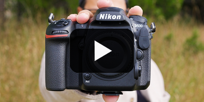 Nikon D500 Gear Review