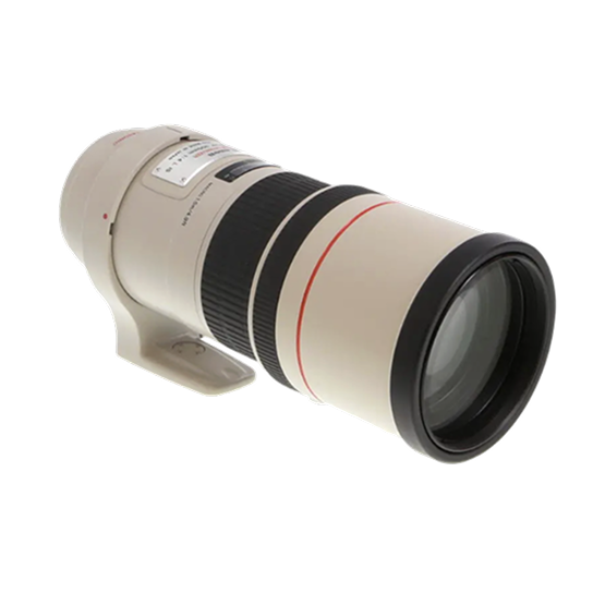 Canon 300mm f/4
