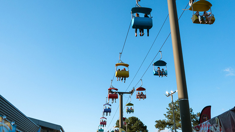 5 Budget Lenses for Beginners in 2025