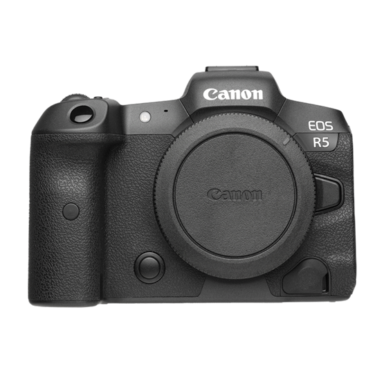 Mirrorless Cameras
