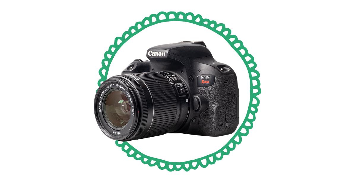 Canon EOS Rebel T7i w/ 18-55mm f/3.5-5.6 IS STM