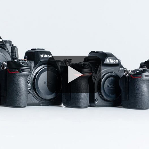 The Best Nikon Cameras of 2025
