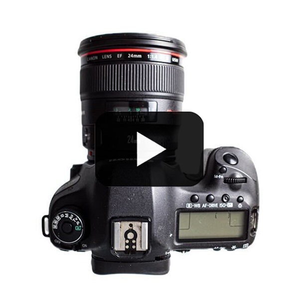Top 3 DSLRs under $500
