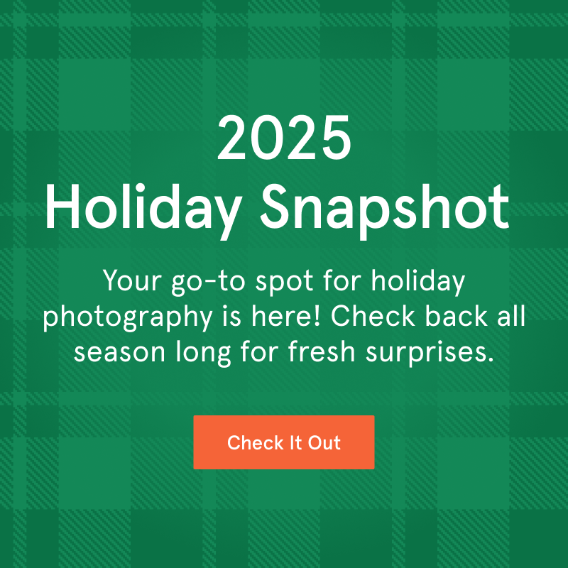 Holiday Snapshot Hub