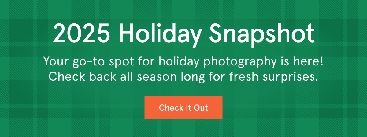 Holiday Snapshot Hub