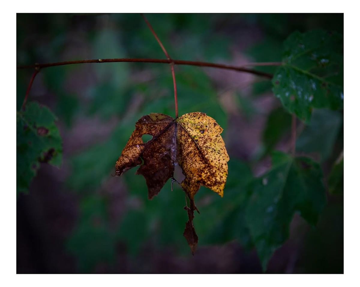 Photo by @clintasbillphotogarphy