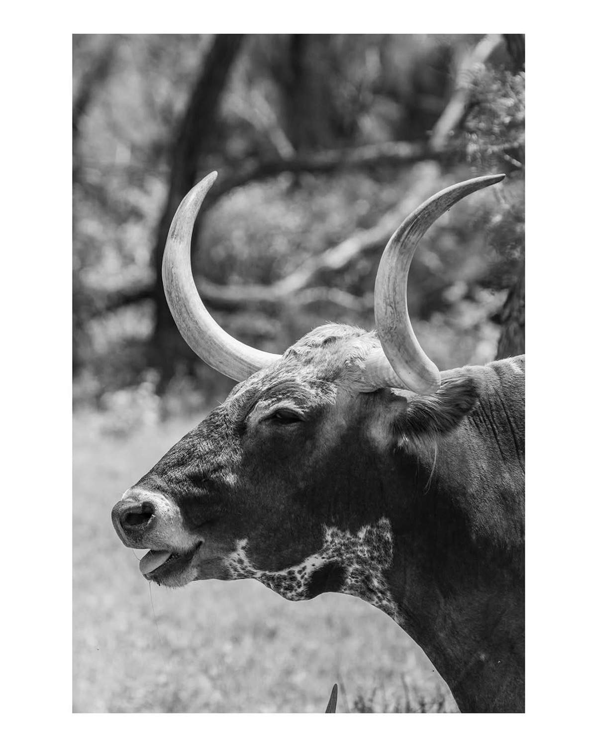 Photo by @triplerockphotography