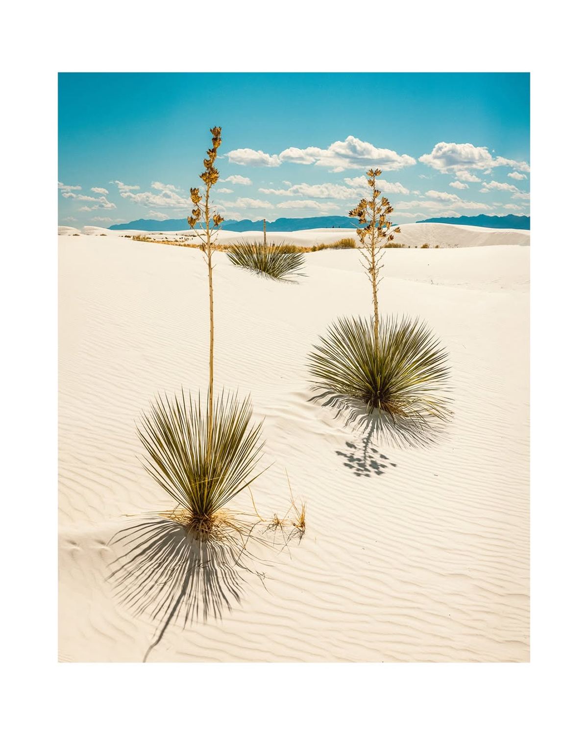 Photo by @rob.art.jones