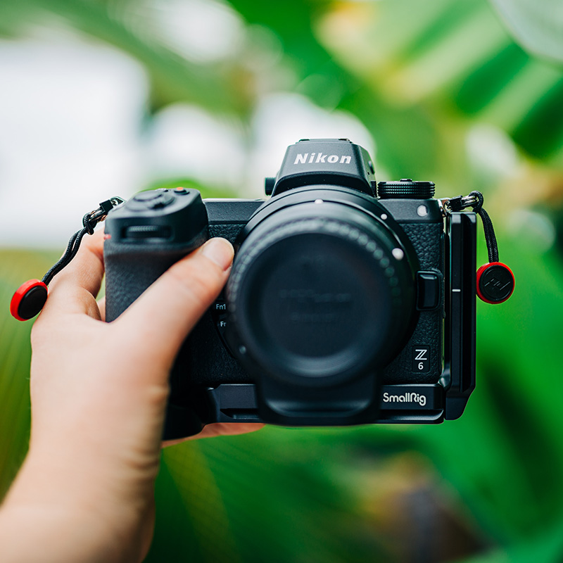 The Best Nikon Cameras of 2025