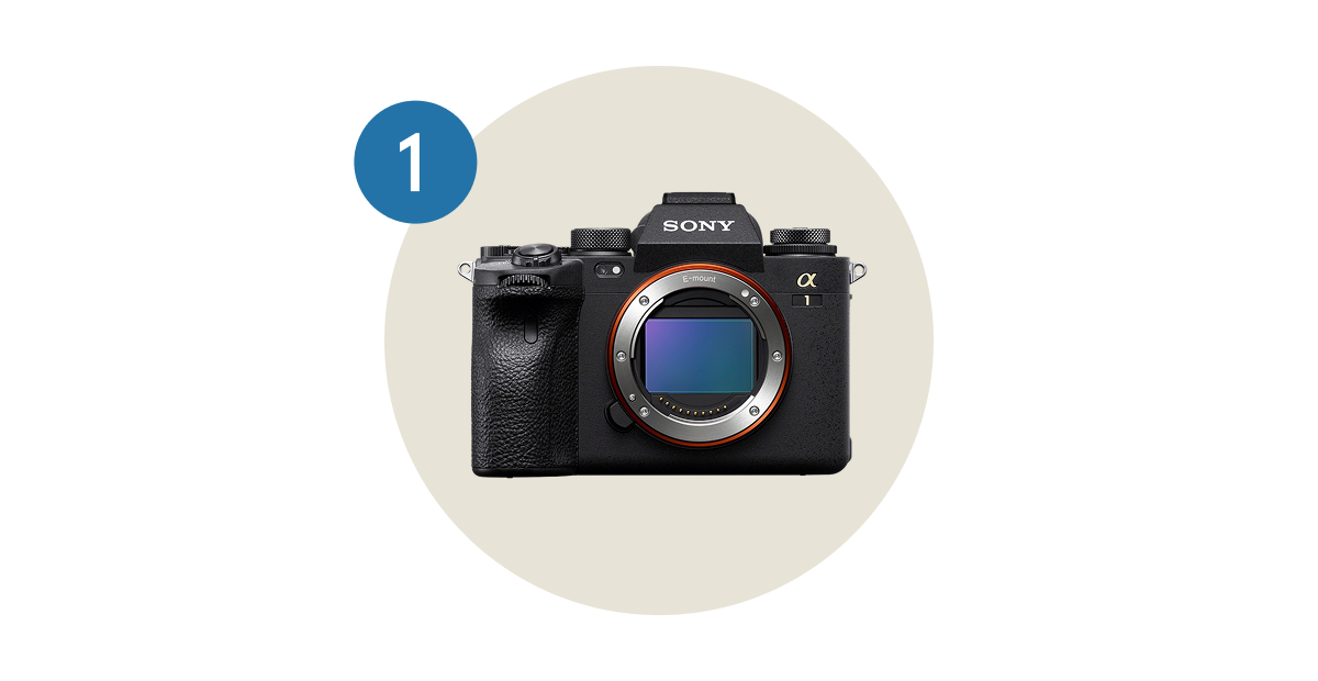 Sony a1