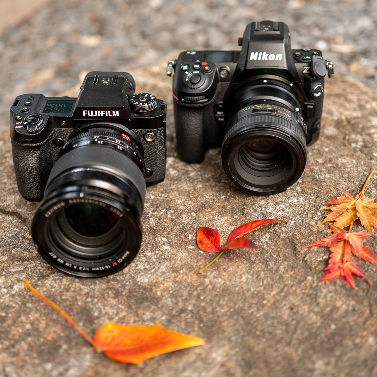 The Best Lenses for Capturing Fall Foliage