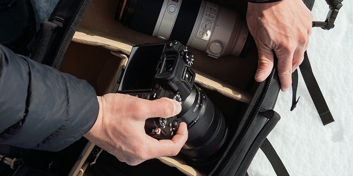 Best Cameras for Wildlife Photography